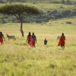 Kenya safaris in June are great — cool dry season, fewer crowds, and prime wildlife viewing in Maasai Mara, Amboseli, and Tsavo parks.