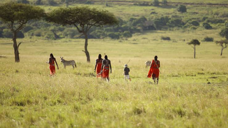 Kenya safaris in June are great — cool dry season, fewer crowds, and prime wildlife viewing in Maasai Mara, Amboseli, and Tsavo parks.
