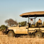 Are open-roof safari vehicles safe?