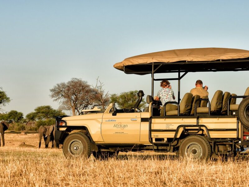 Are open-roof safari vehicles safe?