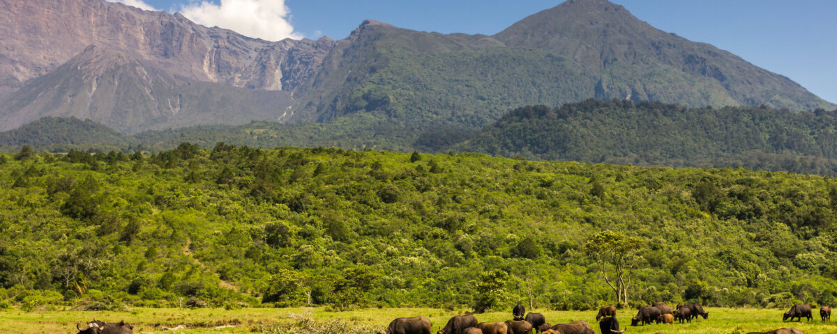 What Is Arusha National Park Known For?