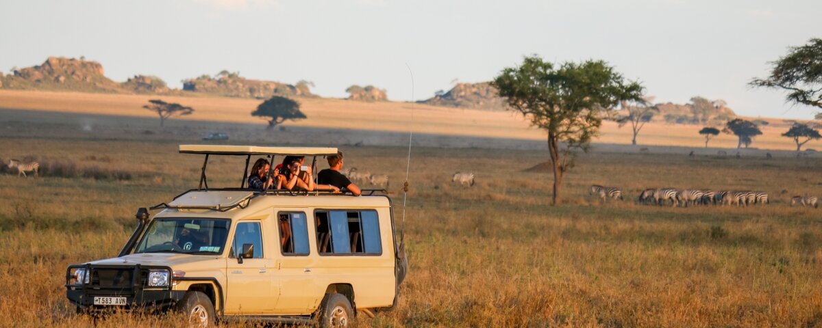 Can I Start Safari from Arusha?