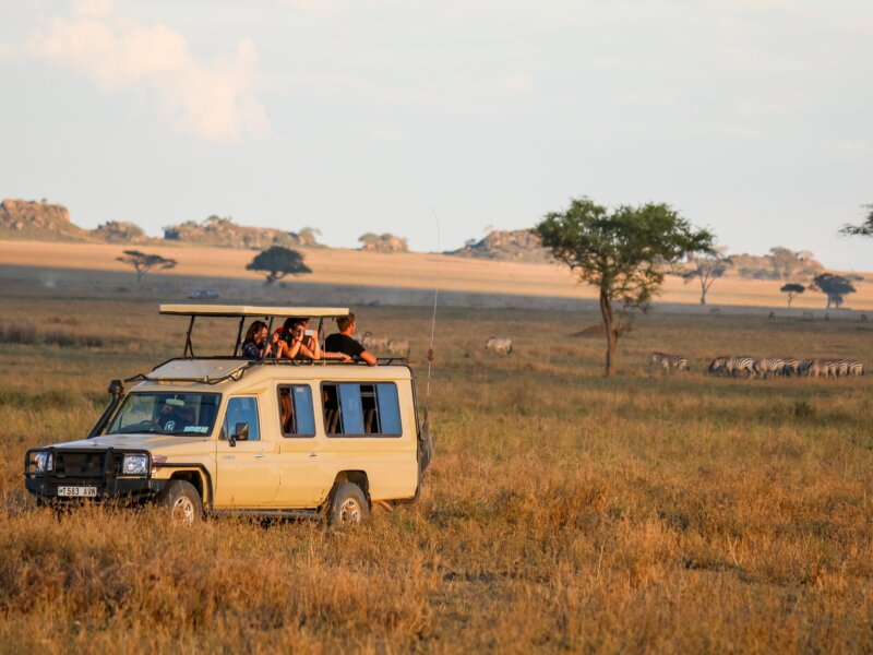 Can I Start Safari from Arusha?