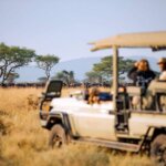 Can students go on Kenya safari tours?