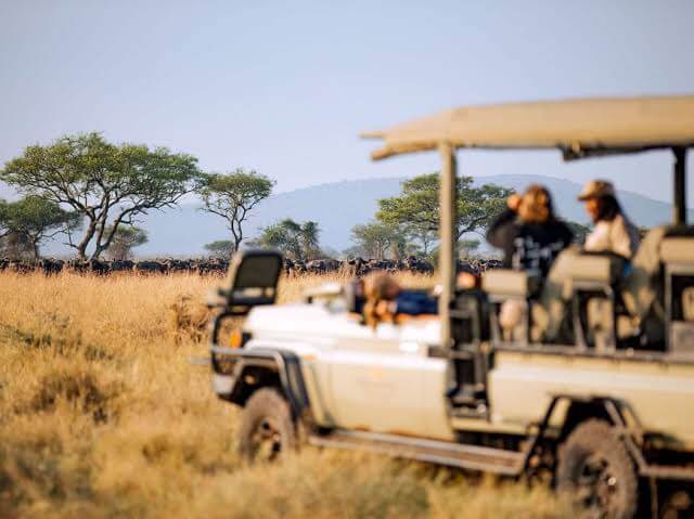 Can students go on Kenya safari tours?