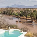 Can you celebrate birthdays on Kenya safari?