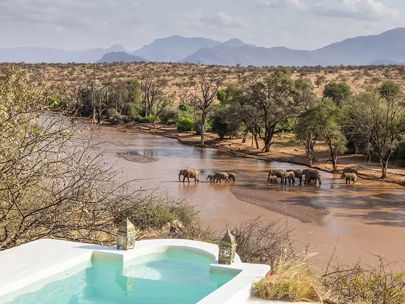 Can you celebrate birthdays on Kenya safari?
