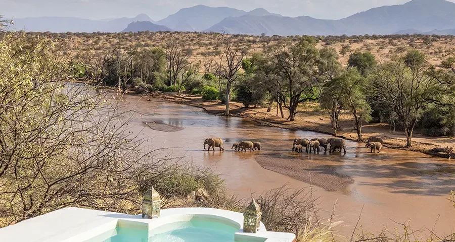 Can you celebrate birthdays on Kenya safari?
