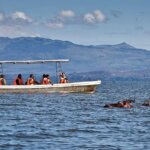 Can you do boat safaris in Kenya?