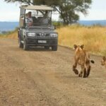 Can you rent a safari vehicle in Kenya?