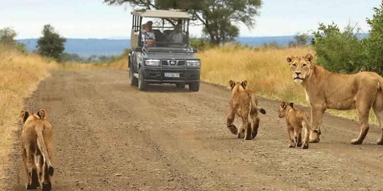 Can you rent a safari vehicle in Kenya?