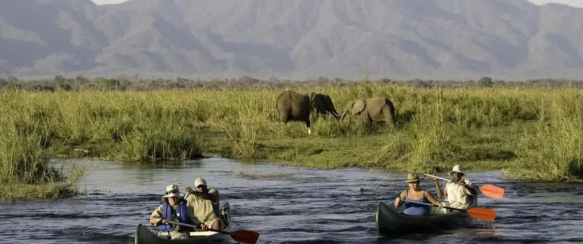 What Are the Best Things to Do in Arusha
