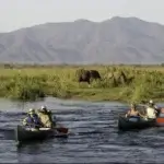 What Are the Best Things to Do in Arusha