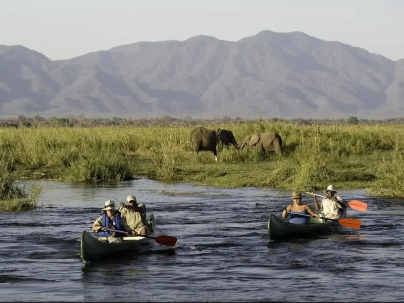What Are the Best Things to Do in Arusha