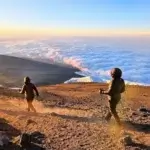 Which Safari Starts From Kilimanjaro Airport