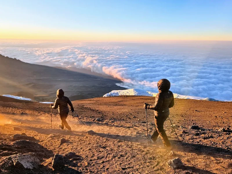 Which Safari Starts From Kilimanjaro Airport