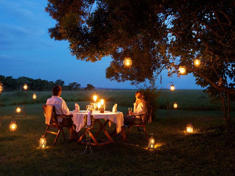 What Is Best Safari for Newlyweds