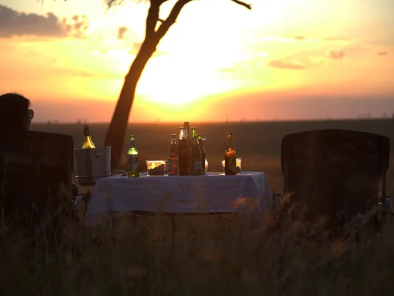 What Is Luxury Honeymoon Safari Tanzania