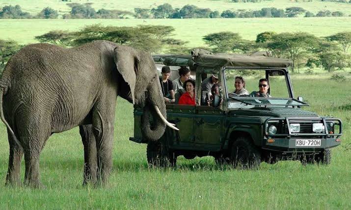 How do you get around during Kenya safari tours?