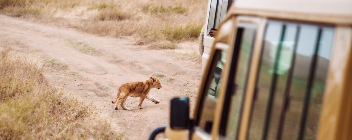 How early should I arrive before safari departure?