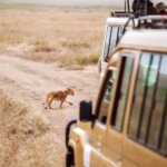 How early should I arrive before safari departure?
