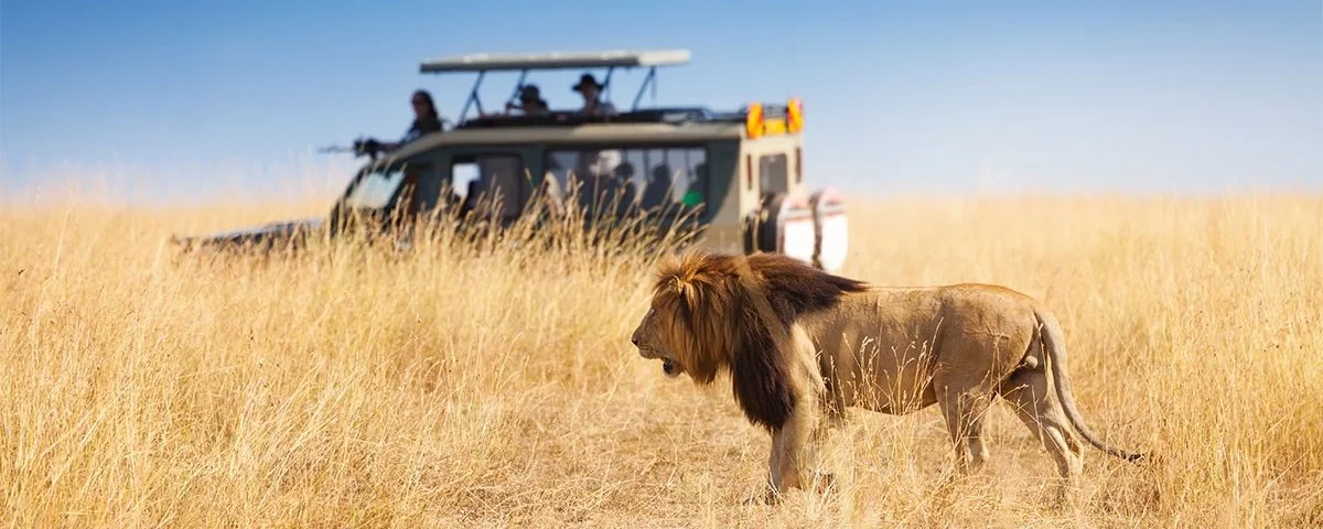 How safe is Masai Mara safari