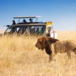 How safe is Masai Mara safari