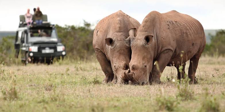 How safe is Masai Mara safari?