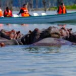 Is Lake Naivasha worth visiting on safari?