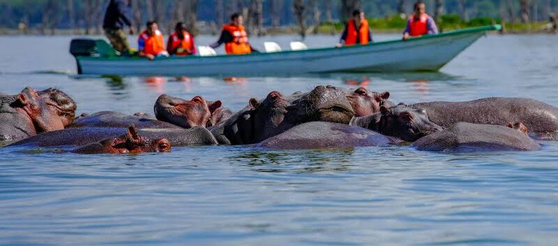 Is Lake Naivasha worth visiting on safari?