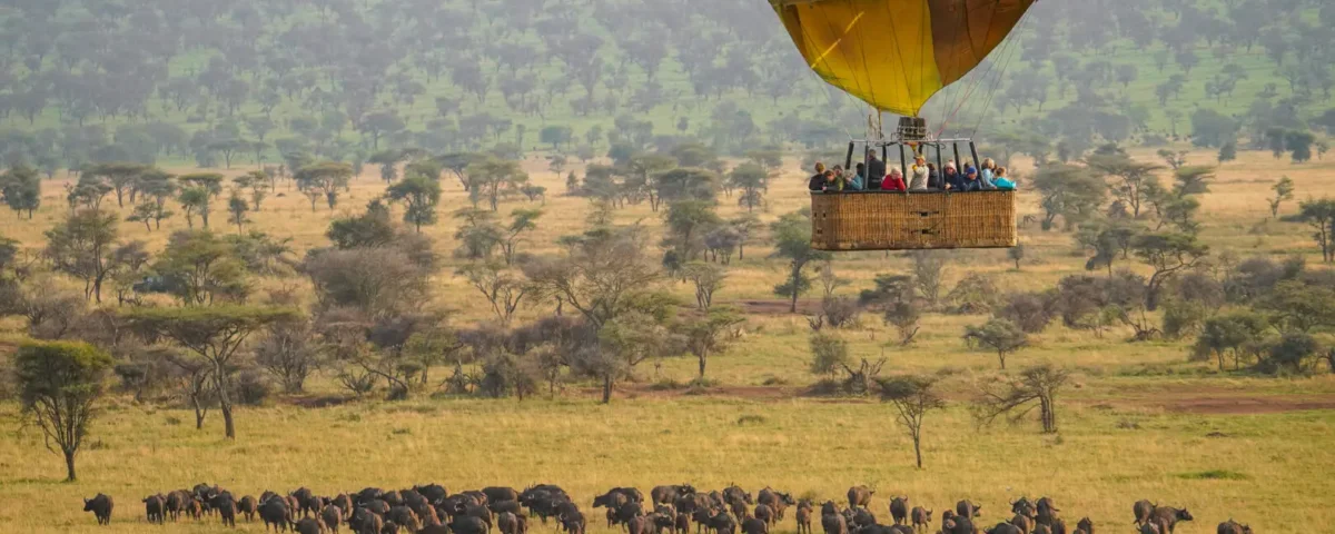 What Is Fly In Honeymoon Safari Tanzania