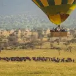 What Is Fly In Honeymoon Safari Tanzania