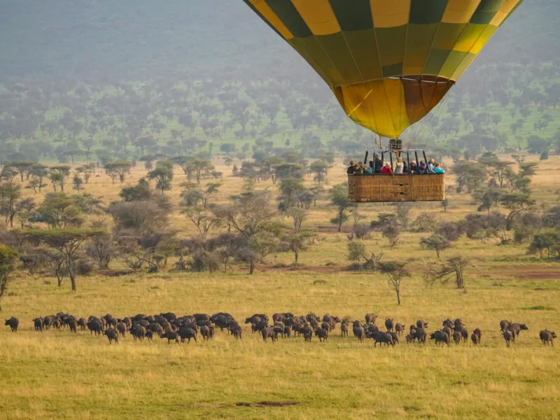 What Is Fly In Honeymoon Safari Tanzania