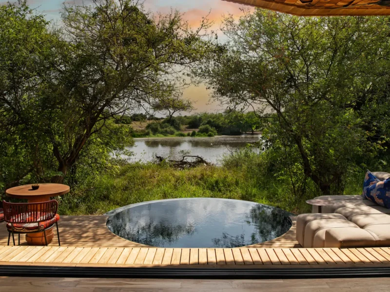 What Are the Best Honeymoon Lodges in Serengeti