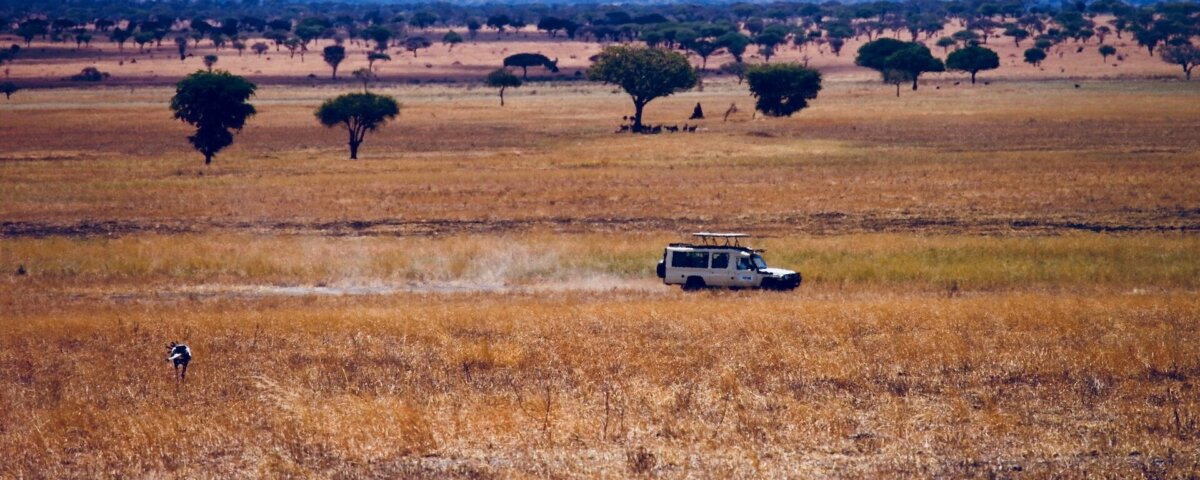 How Far Is Arusha From Serengeti?