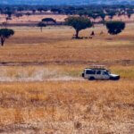 How Far Is Arusha From Serengeti?