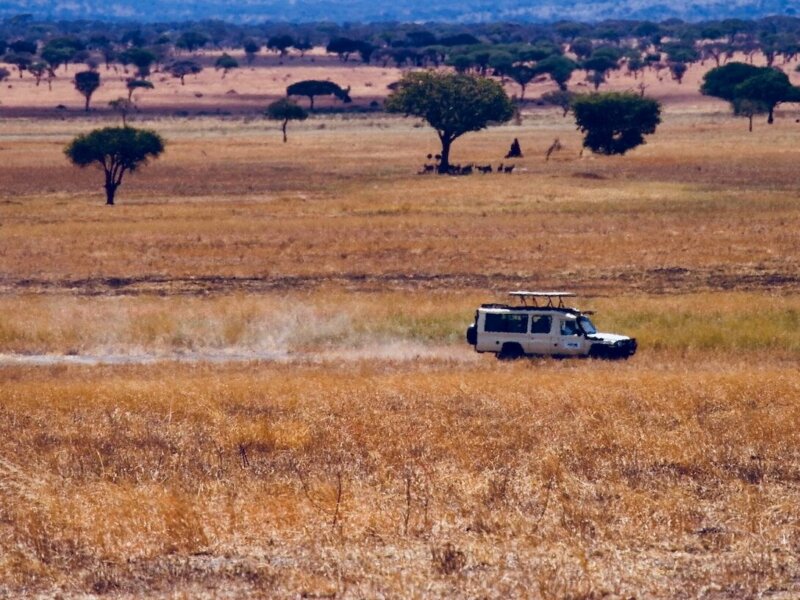 How Far Is Arusha From Serengeti?
