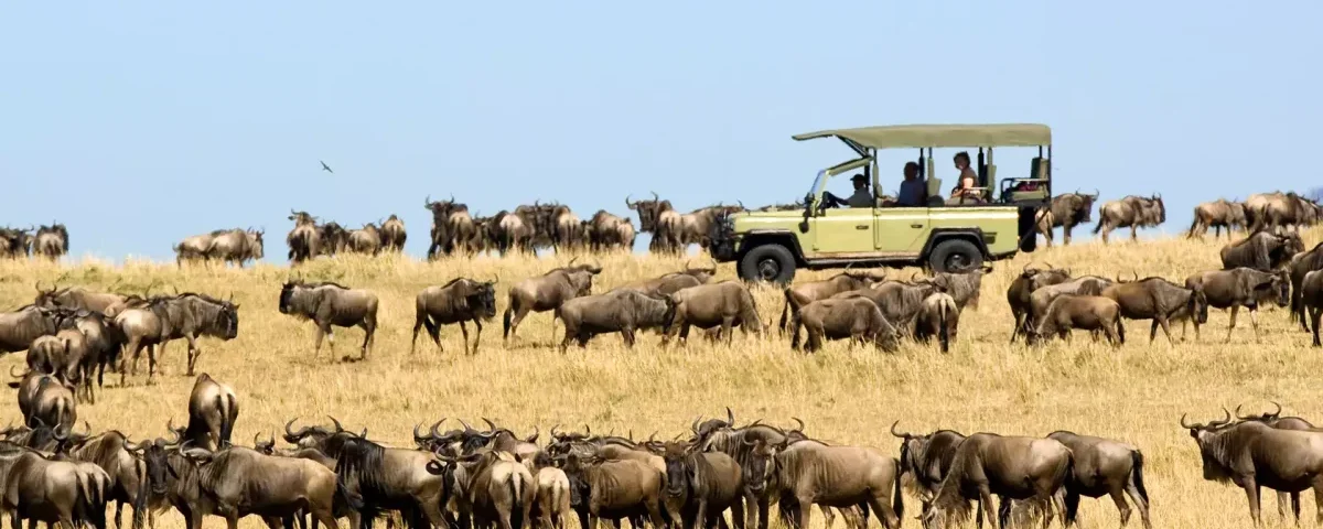 Which Safari Park Has the Highest Animal Density