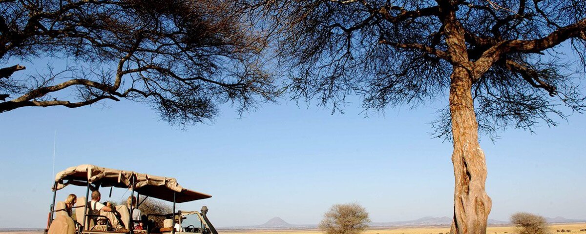 What Is Luxury Tarangire Safari
