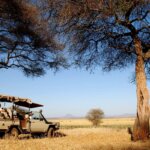 What Is Luxury Tarangire Safari