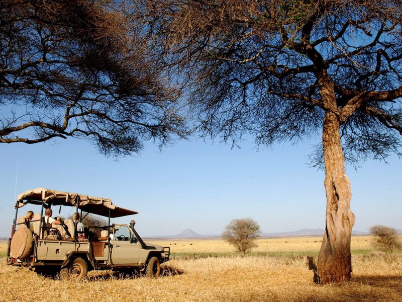 What Is Luxury Tarangire Safari