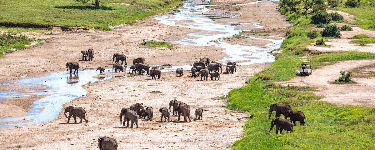 What Is Tarangire Known for During Dry Season?