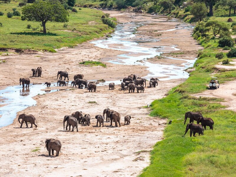 What Is Tarangire Known for During Dry Season?