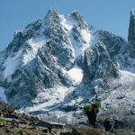 What Are the Best Mount Kenya Trekking Tours