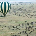 What Are the Best Safari Destinations Near Mount Kenya