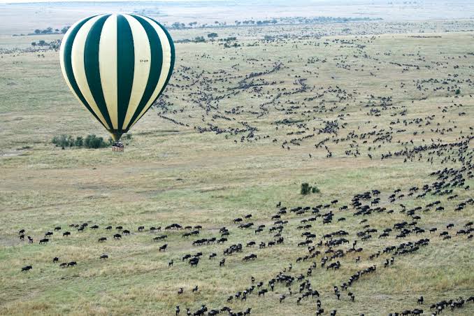 What Are the Best Safari Destinations Near Mount Kenya