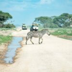 What are the best Kenya safari destinations in August?