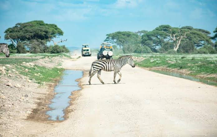 What are the best Kenya safari destinations in August?