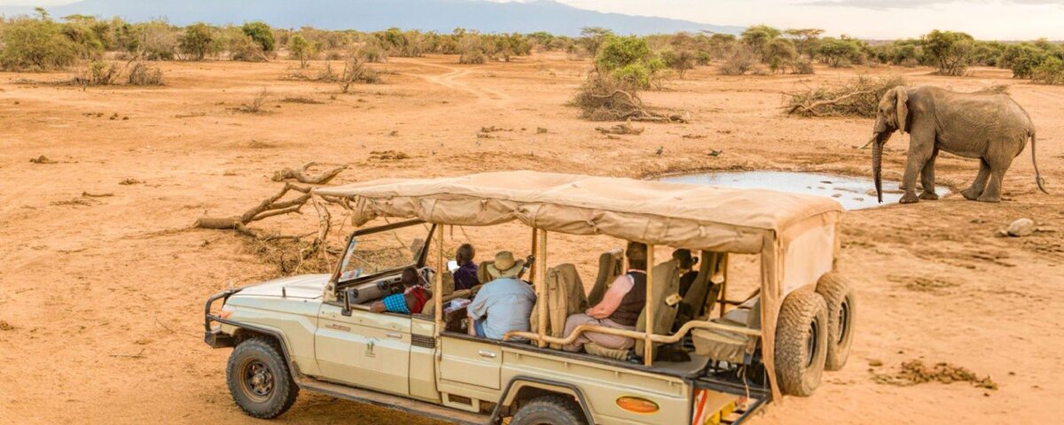 What are the best Kenya safari travel tips?