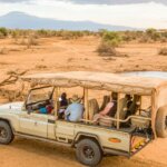 What are the best Kenya safari travel tips?